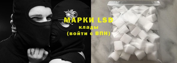 спиды Ладушкин