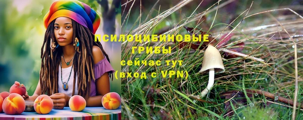 Альфа ПВП Липки