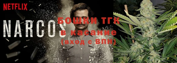 спиды Ладушкин