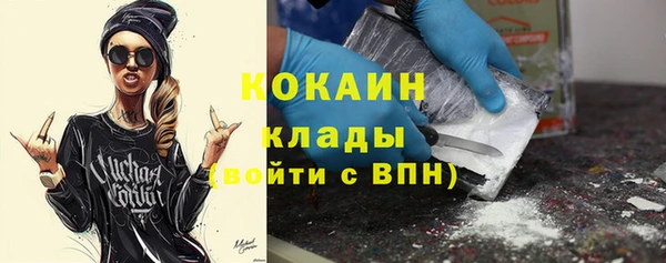 спиды Ладушкин