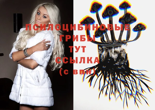 спиды Ладушкин