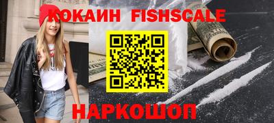 стаф Гай