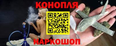 бошки Гатчина