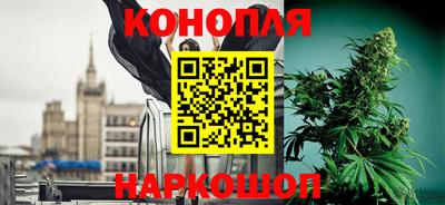 стаф Гай