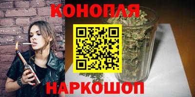 стаф Гай