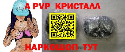 стаф Гай