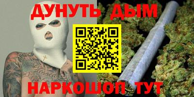 стаф Гай