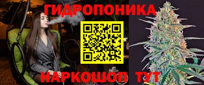 бошки Гатчина
