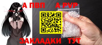 стаф Гай