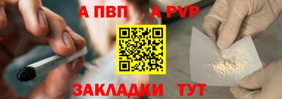 стаф Гай