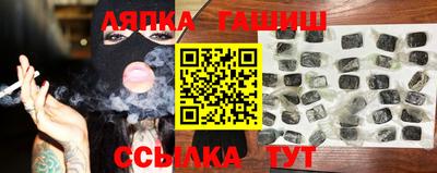 стаф Гай