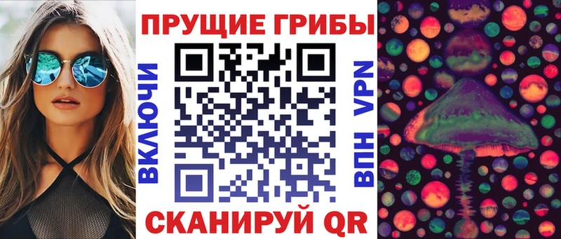 mega зеркало Нижнеудинск Псилоцибиновые грибы GOLDEN TEACHER