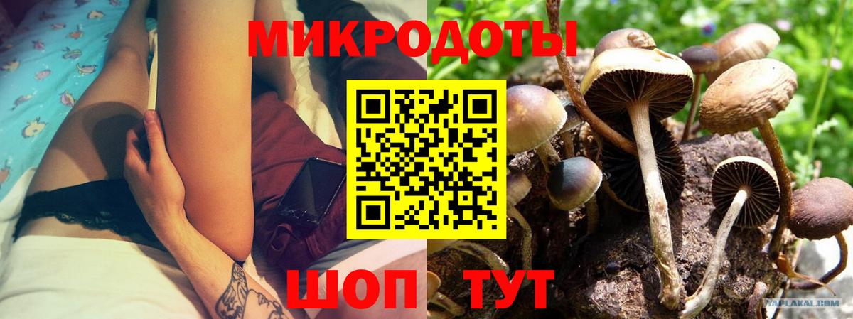 Галлюциногенные грибы Cubensis Нижнеудинск