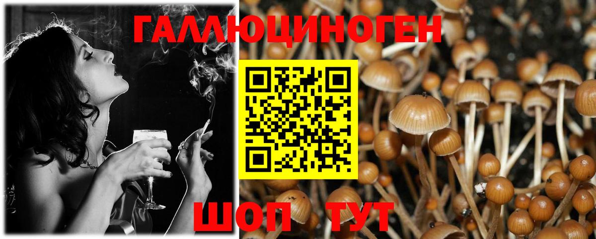 Галлюциногенные грибы ЛСД  Псилоцибиновые грибы ЛСД  Нижнеудинск 