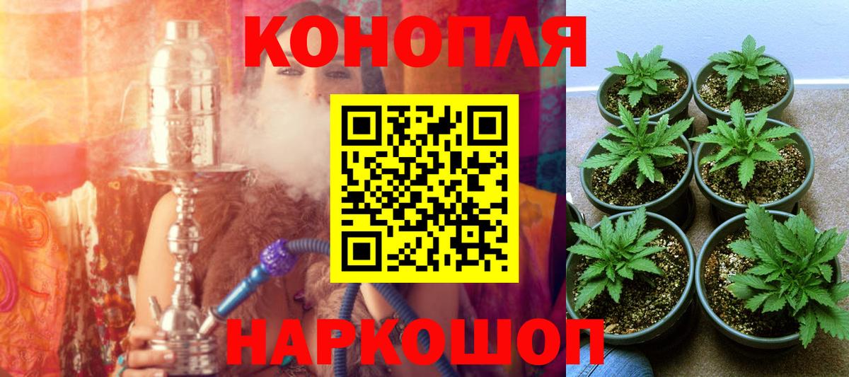 Канабис индика  Канабис ГИДРОПОН  Нижнеудинск  Бошки марихуана White Widow  Вход с VPN 
